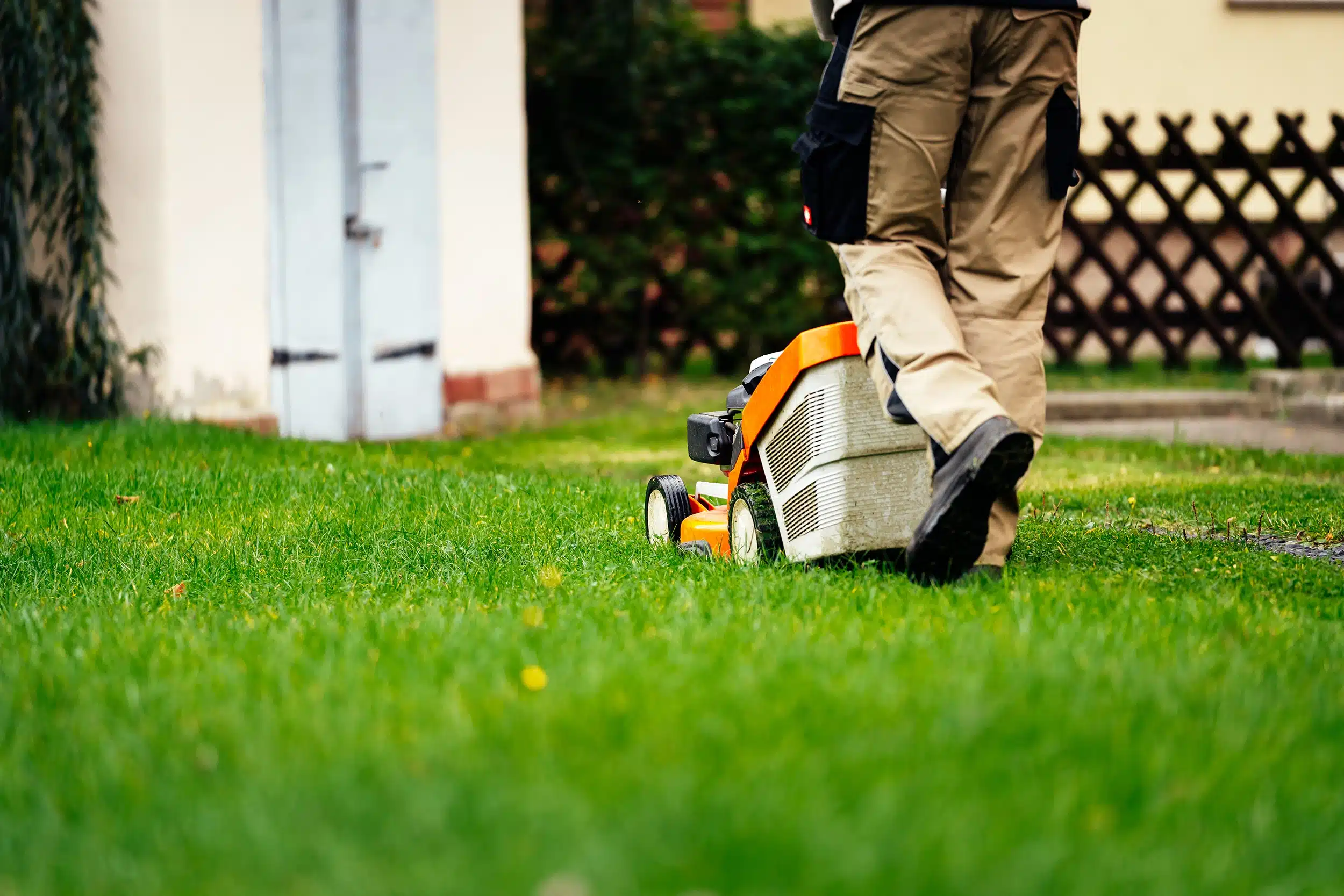 mera Dienstleistungen Pößneck Rasenmähen Rasenmähen mera Dienstleistungen aus Pößneck
