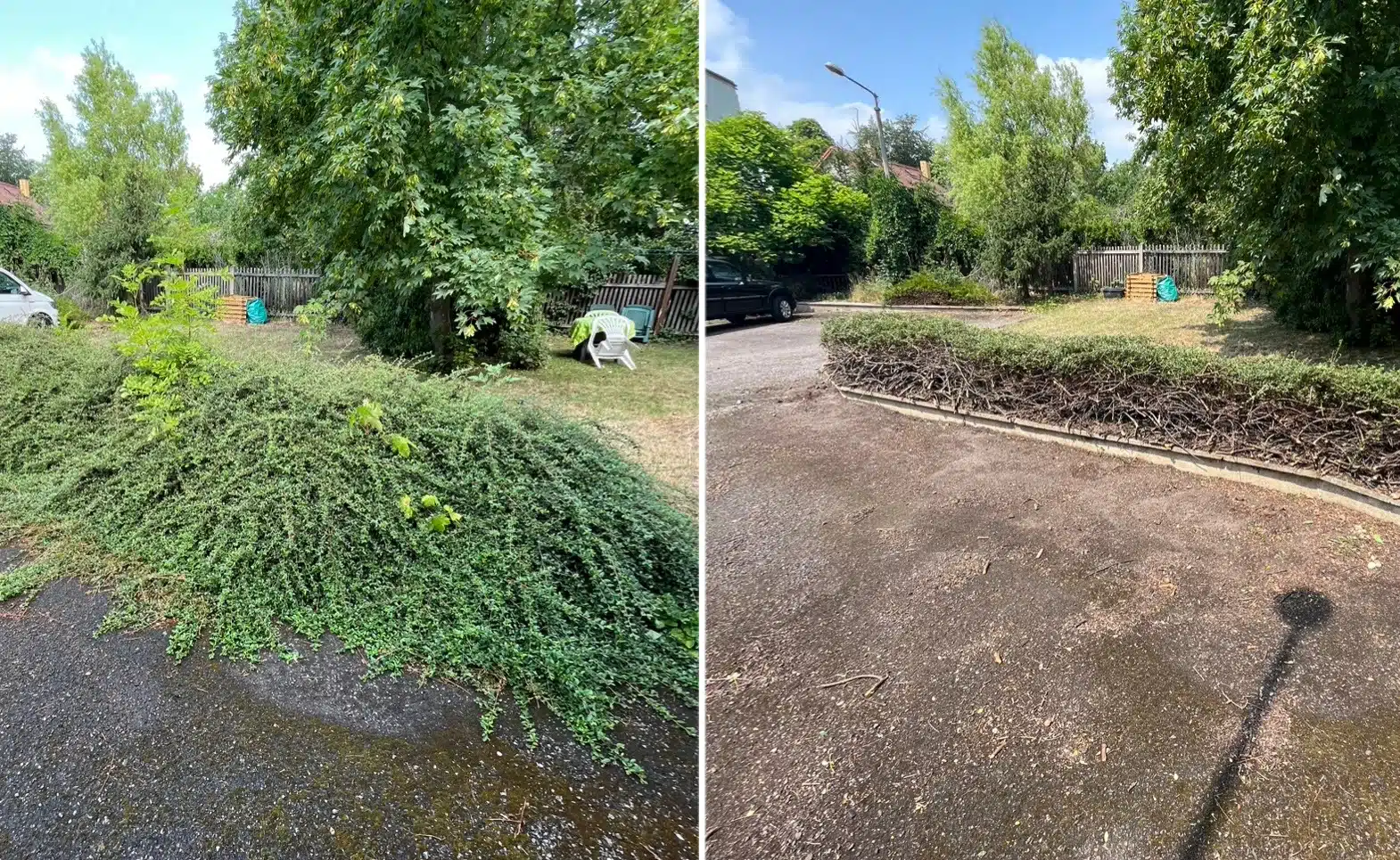 grünpflege in Pößneck mera Dienstleistungen Vorher-nachher-Vergleich vom Grünschnitt und Rückschnitt einer Hecke